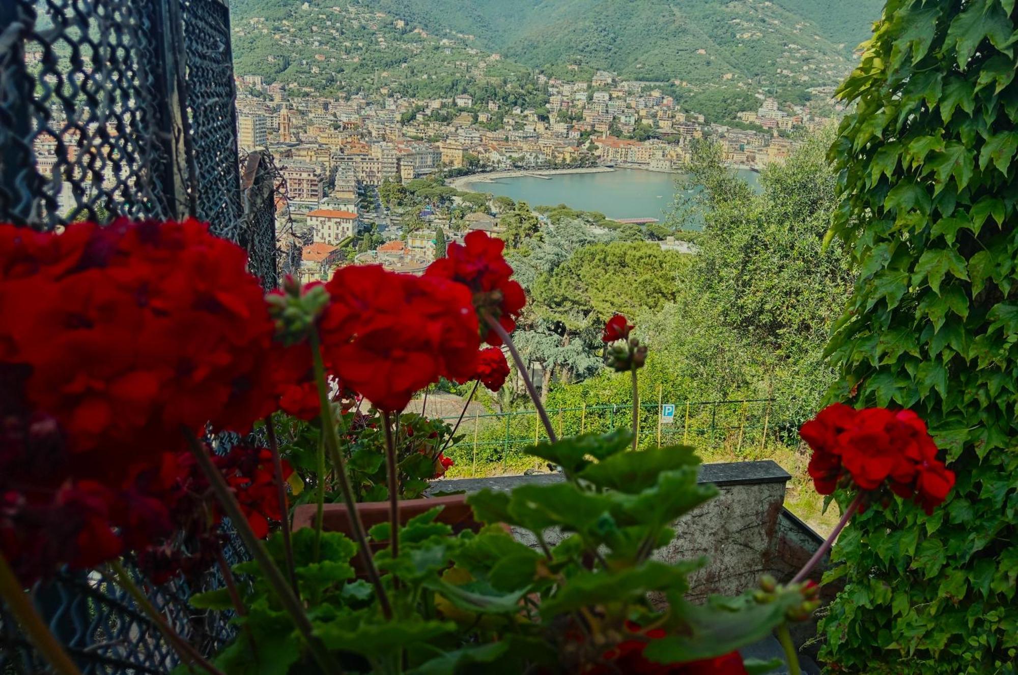 Sunrise Villa Rapallo Bagian luar foto